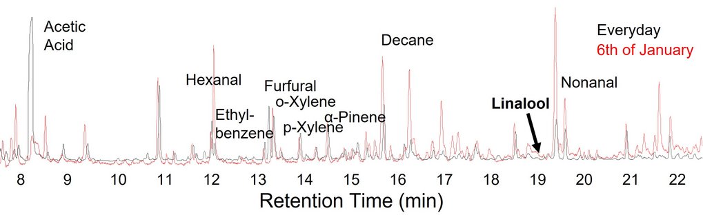 Chromatogram of the indoor air in the Mainz CathedralDepiction of the volatile organic compounds (VOCs) found in the Cathedral’s indoor air. The peaks represent individual substances — aldehydic, aromatic, and terpenoid compounds. On January 6 (Epiphany), the chromatogram (red), compared to the everyday profile (black), shows additional signals of typical incense components originating from the festive liturgy. (Measurement and processing: Kathleen Raap)