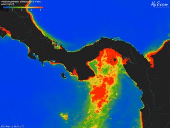 Maps show chlorophyll-a in seawater with increasing concentration from green to red. In February 2024 (left picture), wind-driven upwelling and high nutrient supply stimulated production of algae in the Gulf of Panama and far outside of the gulf. Chlorophyll concentration map near Panama, vibrant colors indicate levels.