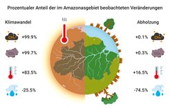 Darstellung der prozentualen Anteile des globalen Klimawandels und der Entwaldung zu Veränderungen bei Methan, Kohlendioxid, maximaler Oberflächentemperatur und Gesamtniederschlag während der Trockenzeit.