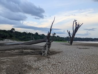 Ausgetrocknetes Flussbett des Uatumã-Flusses im brasilianischen Amazonas- Regenwald, aufgenommen im Jahr 2024. ausgetrockentes Flussbett im Amazonas-Regenwald