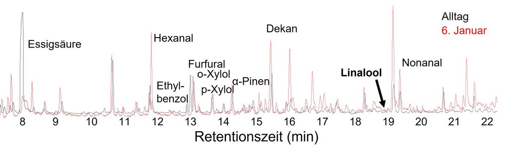 Abbildung 2: Chromatogramm der Raumluft im Mainzer DomDarstellung der flüchtigen organischen Verbindungen (VOCs), die in der Raumluft des Doms gefunden wurden. Die Spitzen repräsentieren einzelne Substanzen – aldehydische, aromatische und terpenoide Verbindungen. Am 6. Januar (Epiphanie) enthält das Chromatogramm (rot) im Vergleich zum Alltagsprofil (schwarz) zusätzliche Signale typischer Weihrauchbestandteile aus der Festliturgie. (Messung und Bearbeitung: Kathleen Raap)