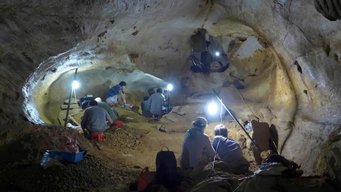 Archäolog:innen bei der Arbeit tief im Inneren der Coc Muoi-Höhle während einer gemeinsamen vietnamesisch-französischen Feldkampagne. Im beleuchteten Ausgrabungsbereich wurden fossile Zähne von Säugetieren aus dem Pleistozän gefunden, die später auf ihre chemischen Signaturen hin analysiert wurden, um die Ernährung und Umwelt der Vorzeit zu rekonstruieren. Forscher in der vietnamesischen Muoi-Höhle.