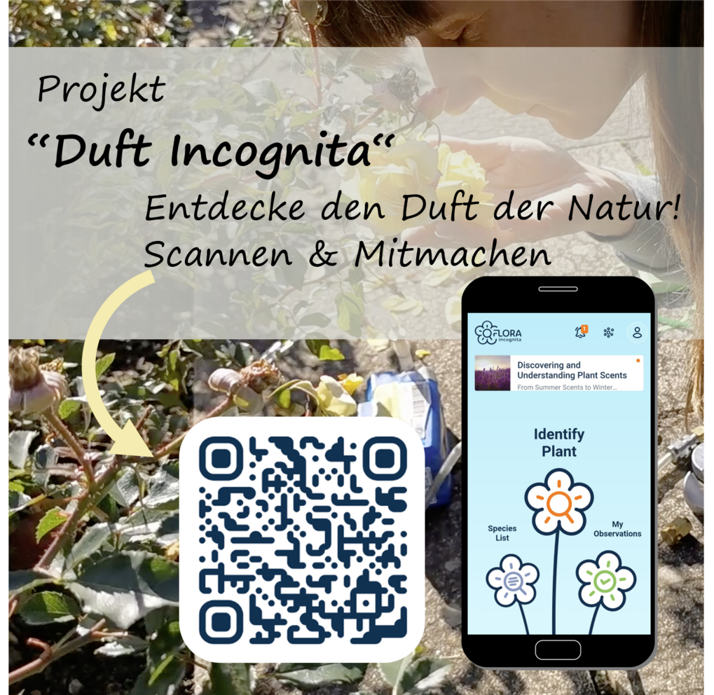 QR-Code und Smartphone-App für das Projekt "Duft Incognita".