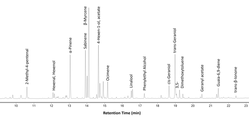 Abildung 3: Chromatogramm der CandelaChromatogramm der Candela. Jede Spitze steht für ein Molekül. (Messung und Bearbeitung von Eunyeong Jin) Abildung 3: Chromatogramm der CandelaChromatogramm der Candela. Jede Spitze steht für ein Molekül. (Messung und Bearbeitung von Eunyeong Jin)