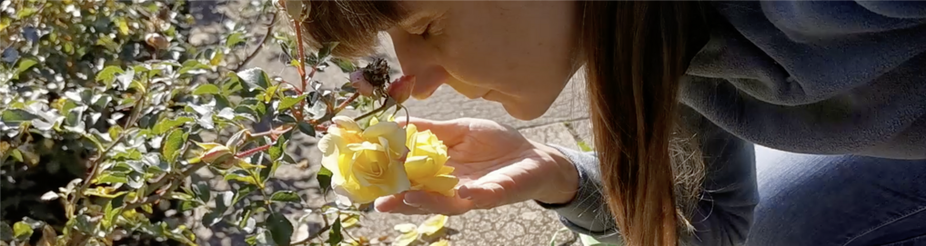 Take part in mapping the scent landscape of everyday life