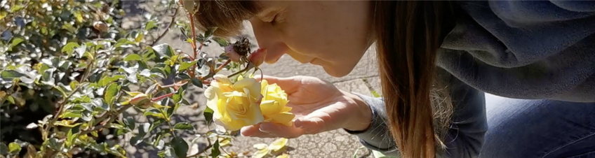 Take part in mapping the scent landscape of everyday life Take part in mapping the scent landscape of everyday life