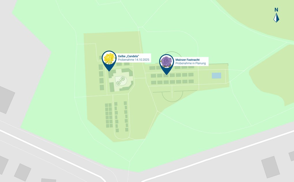 Image of the Rose Garden with our sampling