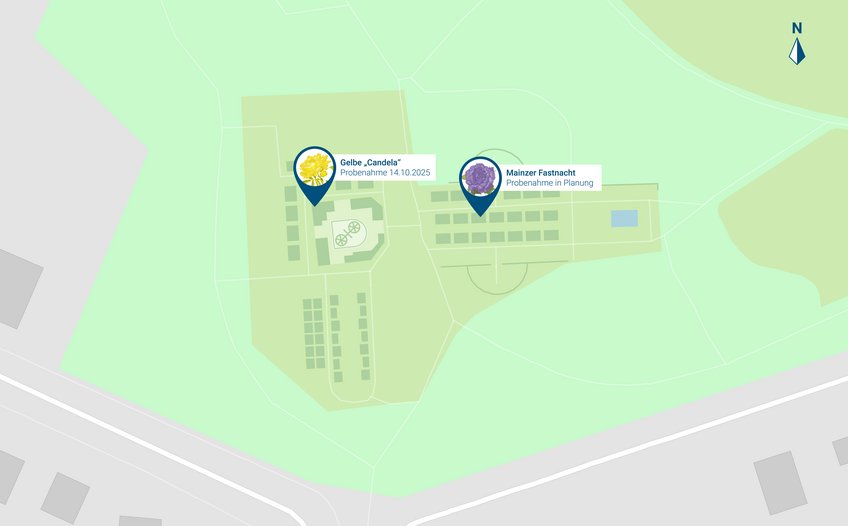 Image of the Rose Garden with our sampling: A garden for everyone. Between the scents of the city and the fresh Rhine breeze, the garden becomes a small laboratory of the senses. By revealing the chemical fingerprints of roses, we document not only molecules, but a piece of Mainz’s cultural history — something we can quite literally smell. (Picture: Dom Jack). Image of the Rose Garden with our sampling