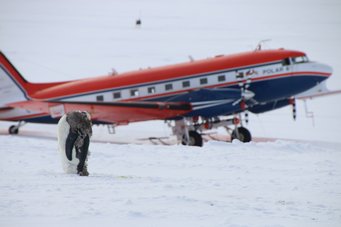 Start der Polar 6 zum ersten Messflug am 21. Januar 2026 Die Polar 6 kurz vor dem Abheben. Ein Pinguin steht im Schnee; im Hintergrund ein rot-blaues Flugzeug.