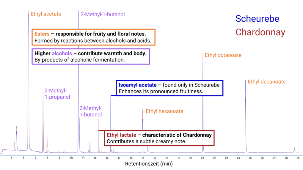 CHromatogram