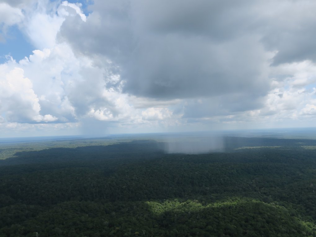 Raining in Amazonian rain forest