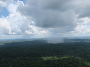 Regenwolken über dem Amazonas Regenwald, vom ATTO Forschungsturm aus gesehen Wolken, Regenwald, erkennbarer Regenguss