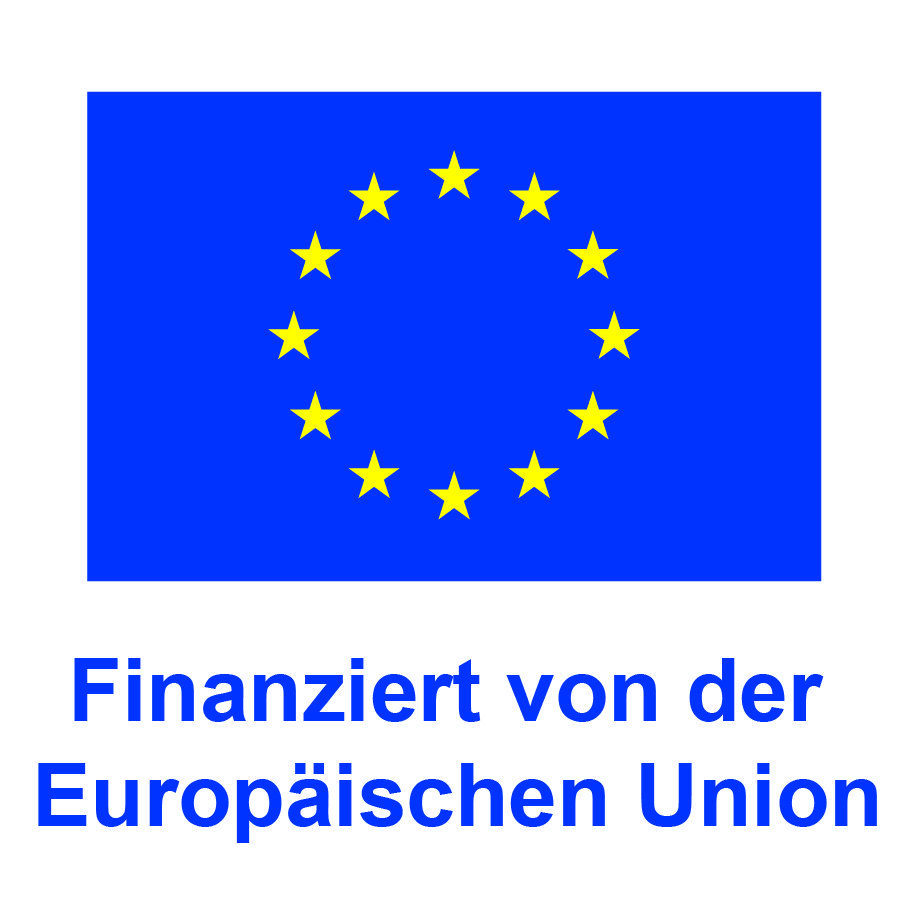 Europäische-Union-Flagge mit Text „Finanziert von der Europäischen Union“.