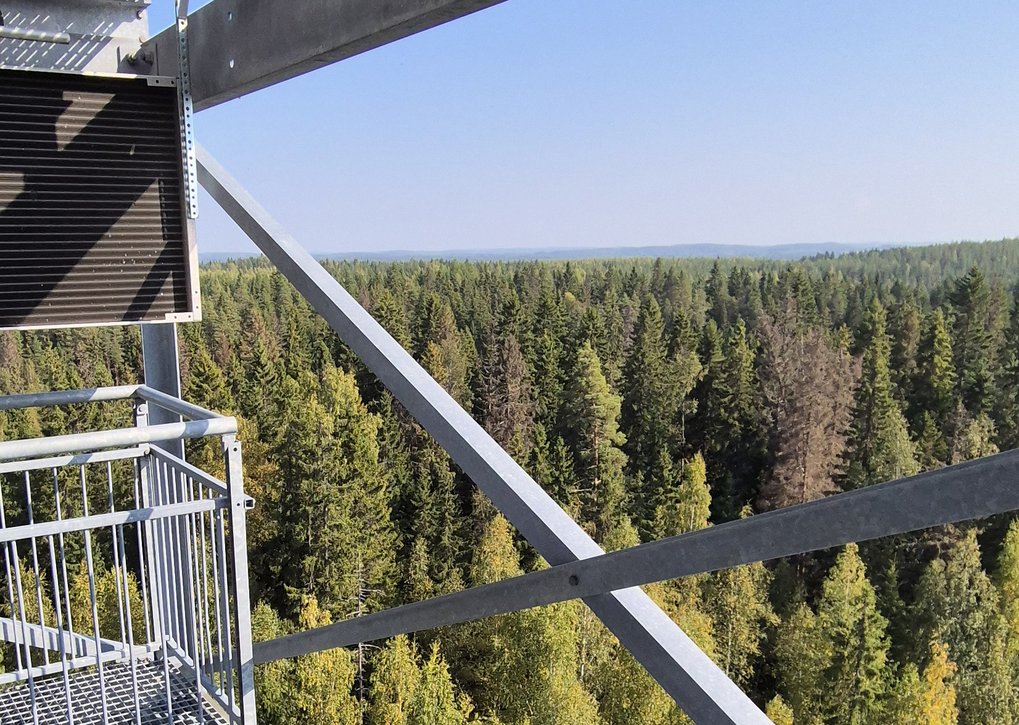 Blick von einer Aussichtsplattform aus Metall auf einen weiten, grünen Nadelwald mit blauem Himmel im Hintergrund.
