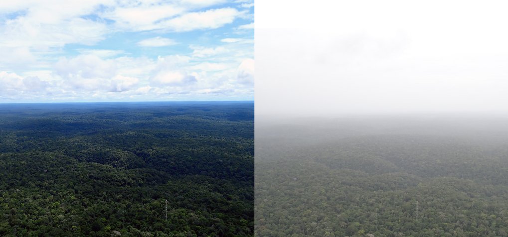 Side-by-side aerial images showing the same forest area under clear sky and heavy haze conditions.